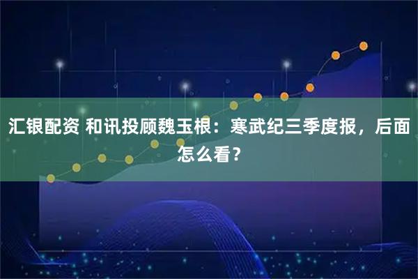 汇银配资 和讯投顾魏玉根：寒武纪三季度报，后面怎么看？