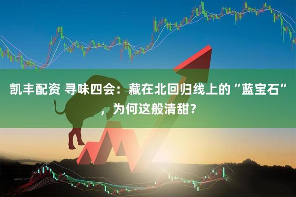 凯丰配资 寻味四会：藏在北回归线上的“蓝宝石”，为何这般清甜？