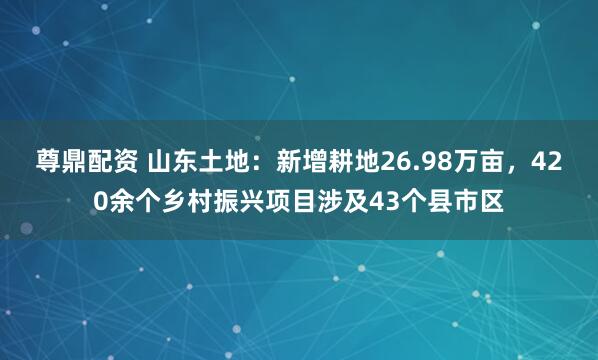 尊鼎配资 山东土地：新增耕地26.98万亩，420余个乡村振兴项目涉及43个县市区