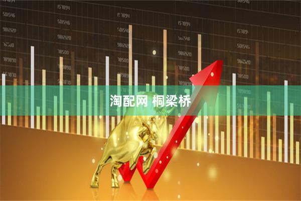 淘配网 桐梁桥